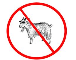 NoGoatsLogo